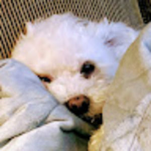 Meet your Posher, Tina